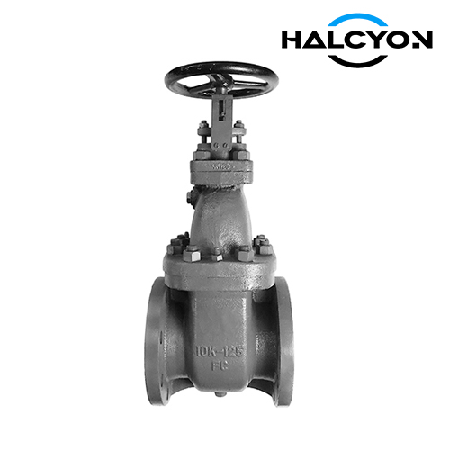 JIS F7364 Gate Valve